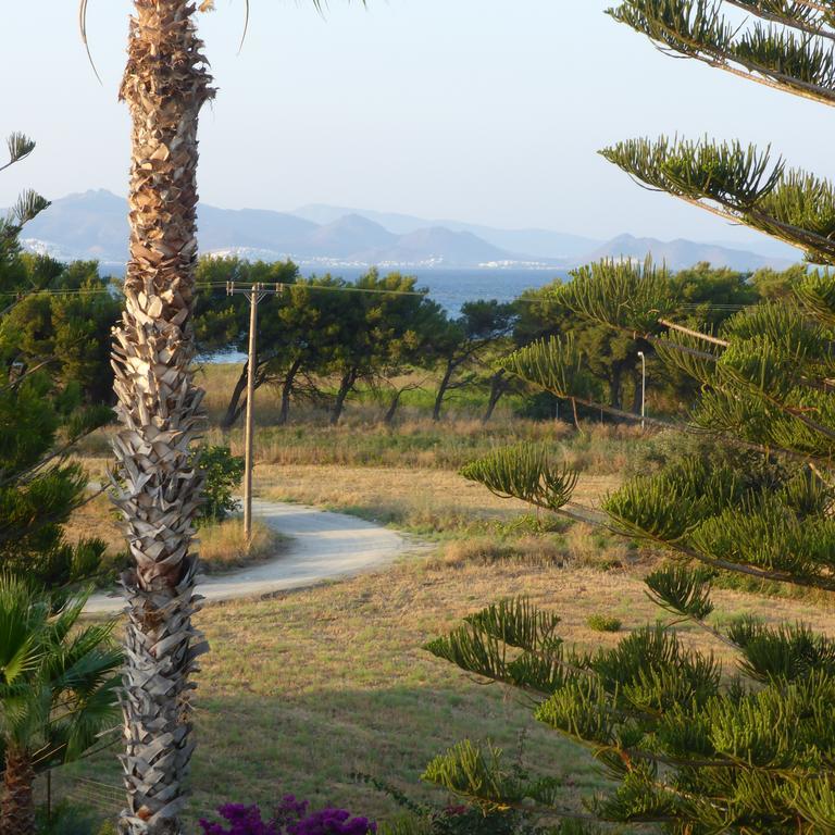 Blue Nest Hotel Tigaki エクステリア 写真